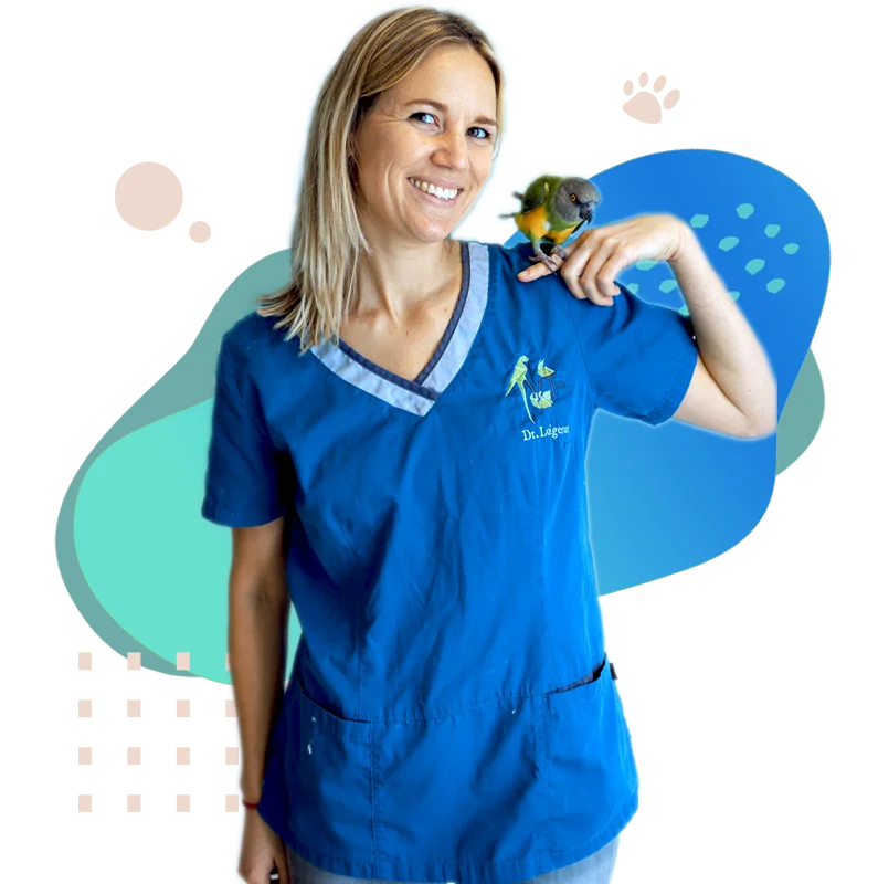 vétérinaire oiseaux